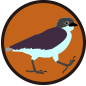ic-003203.png ic-003203.png