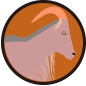 ic-003205.png ic-003205.png