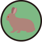 ic-004104.png ic-004104.png