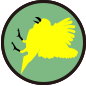 ic-004204.png ic-004204.png