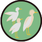ic-004206.png ic-004206.png