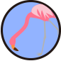ic-005308.png ic-005308.png