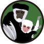 ic-700101.png ic-700101.png