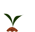 f-day-2.png