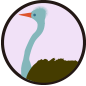 ic-005205.png